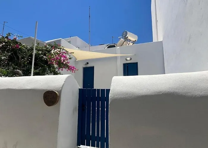 Provis Next To The Mills In Mykonos Town