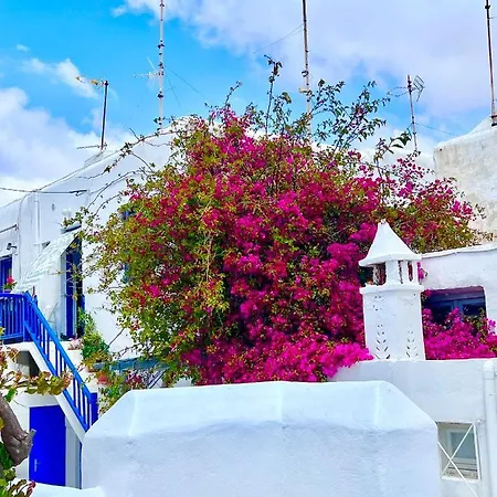 Provis Next To The Mills In 別荘 *