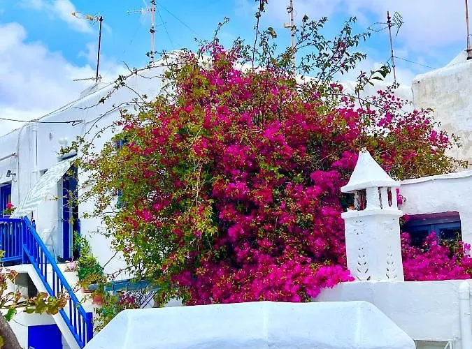 Provis Next To The Mills In Nyaraló *