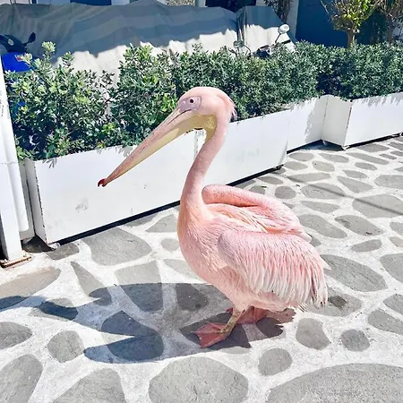 Provis Next To The Mills In *