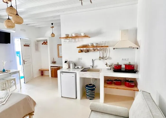 Provis Next To The Mills In * Mykonos Town