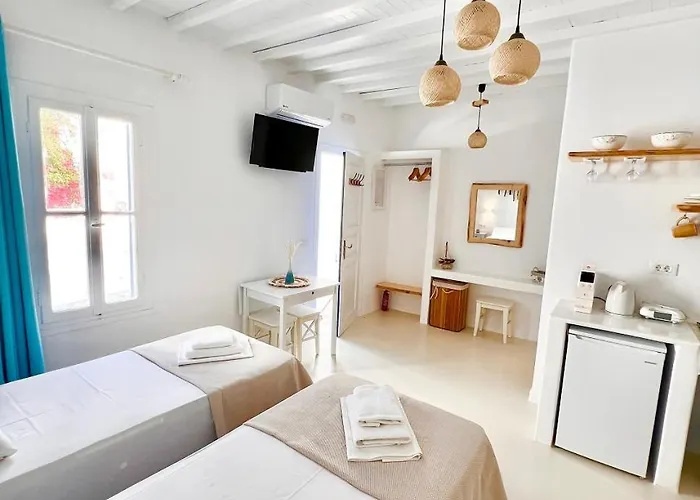 度假居 Provis Next To The Mills In Mykonos Town